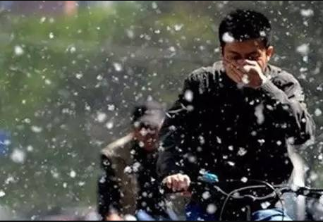 柳絮飞舞002cc白菜资讯眼科专家提示严防过敏